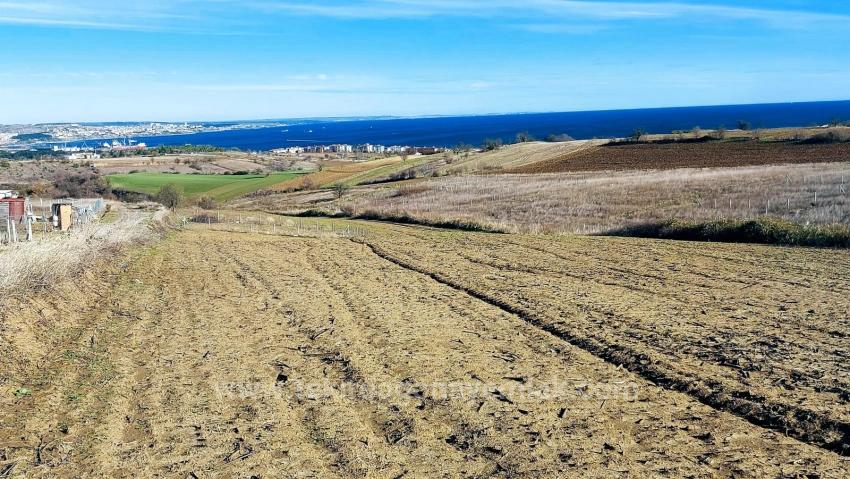 Preisgünstiges Grundstück Mit Freiem Blick Auf Meer, Natur Und Stadt, Bebauungsplan Für 20 % Zweigeschossige Bebauung.