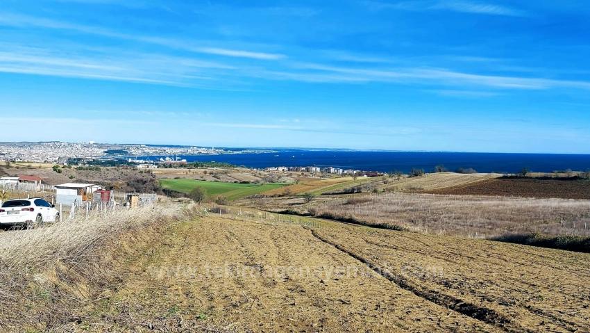 Preisgünstiges Grundstück Mit Freiem Blick Auf Meer, Natur Und Stadt, Bebauungsplan Für 20 % Zweigeschossige Bebauung.