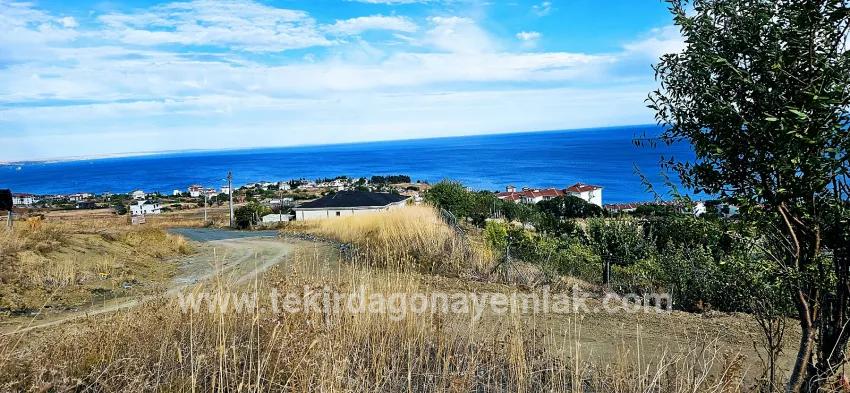 Land Zu verkaufen in Barbaros Bz. Süleymanpaşa Kumbağ - Gehäuse-Zonierung - 528 m²