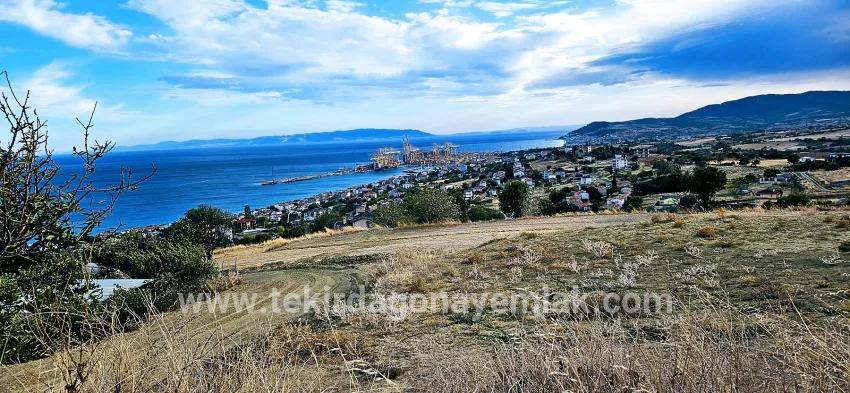 Land Zu verkaufen in Barbaros Bz. Süleymanpaşa Kumbağ - Gehäuse-Zonierung - 528 m²