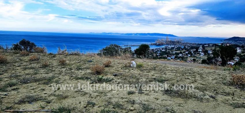 Land Zu verkaufen in Barbaros Bz. Süleymanpaşa Kumbağ - Gehäuse-Zonierung - 528 m²