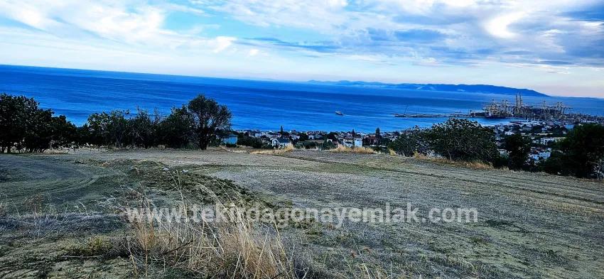 Land Zu verkaufen in Barbaros Bz. Süleymanpaşa Kumbağ - Gehäuse-Zonierung - 528 m²