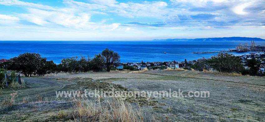 Land Zu verkaufen in Barbaros Bz. Süleymanpaşa Kumbağ - Gehäuse-Zonierung - 528 m²