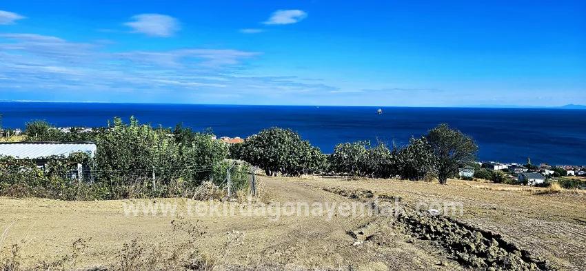 Land Zu verkaufen in Barbaros Bz. Süleymanpaşa Kumbağ - Gehäuse-Zonierung - 2.780 m²