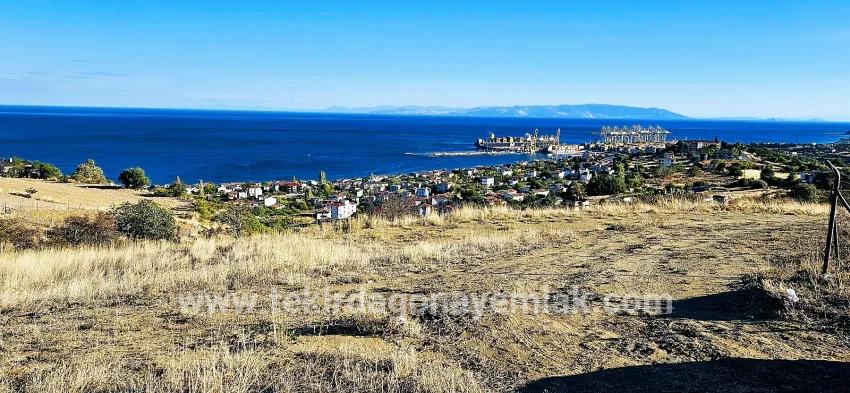 Land Zu verkaufen in Barbaros Bz. Süleymanpaşa Kumbağ - Gehäuse-Zonierung - 530 m²