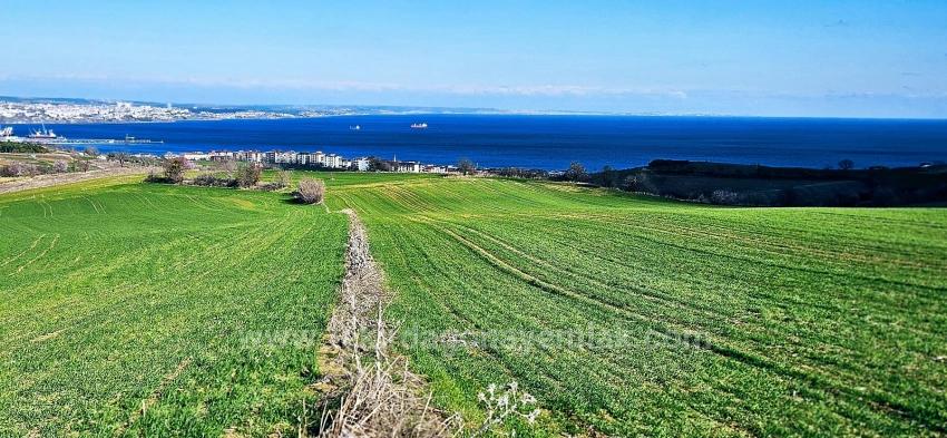 Gelände Zu Verkaufen in Barbaros Bz. Süleymanpaşa Kumbağ - Gehäuse-Zonierung - 34.500 m²