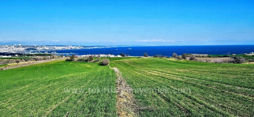 Grundstück Mit Freiem Meer- Und Naturblick, Geeignet Für Ein Villenprojekt Mit 75 Villen In Tekirdağ Barbarosta