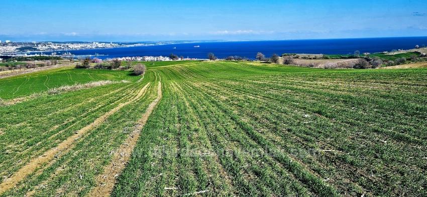 Grundstück Mit Freiem Meer- Und Naturblick, Geeignet Für Ein Villenprojekt Mit 75 Villen In Tekirdağ Barbarosta