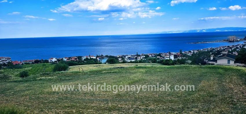 Gelände Zu verkaufen in Barbaros Bz. Süleymanpaşa Kumbağ - Gehäuse-Zonierung - 6.100 m²