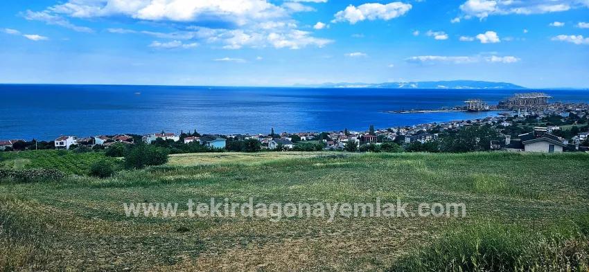 Gelände Zu verkaufen in Barbaros Bz. Süleymanpaşa Kumbağ - Gehäuse-Zonierung - 6.100 m²