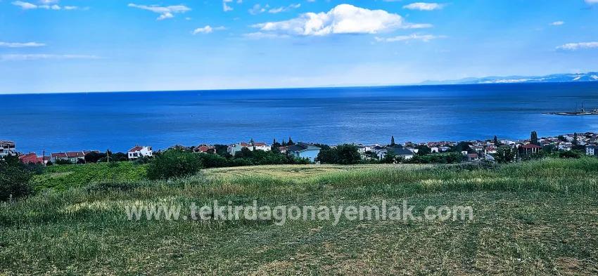 Gelände Zu verkaufen in Barbaros Bz. Süleymanpaşa Kumbağ - Gehäuse-Zonierung - 6.100 m²
