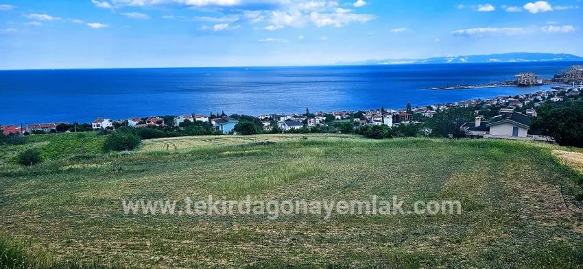 Gelände Zu verkaufen in Barbaros Bz. Süleymanpaşa Kumbağ - Gehäuse-Zonierung - 6.100 m²