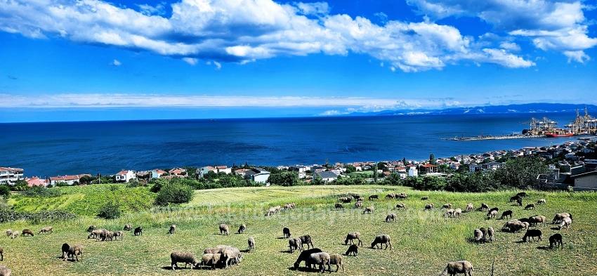 15 Luxuriöse Villen Mit Einzigartigem Panoramablick Auf Meer Und Natur, Gelegen In Einer Für Das Projekt Geeigneten Gegend.