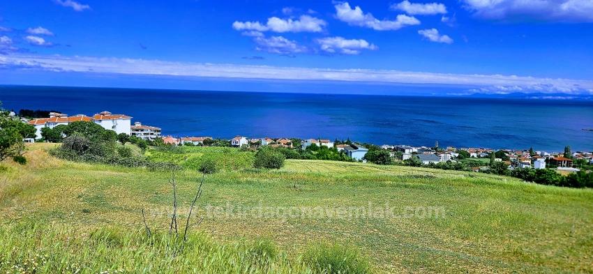 15 Luxuriöse Villen Mit Einzigartigem Panoramablick Auf Meer Und Natur, Gelegen In Einer Für Das Projekt Geeigneten Gegend.