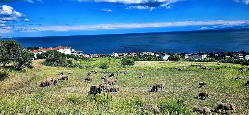 15 Luxuriöse Villen Mit Einzigartigem Panoramablick Auf Meer Und Natur, Gelegen In Einer Für Das Projekt Geeigneten Gegend.