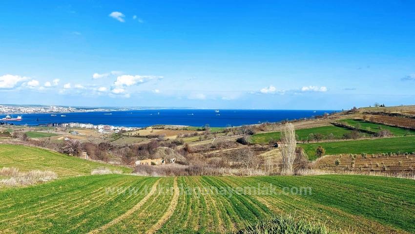 Grundstück Geeignet Für 8 Villenprojekte Mit Vollem Meer- Und Naturblick In Tekirdağ Barbarosta