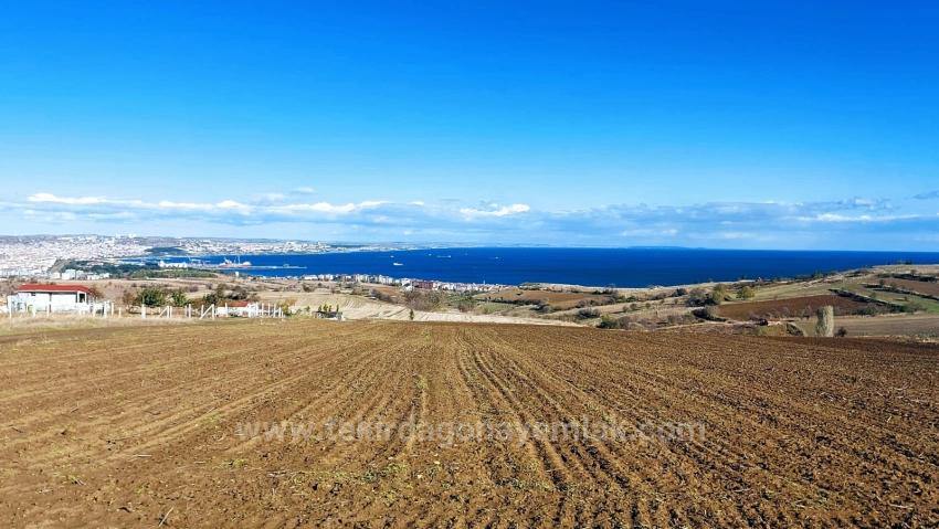 Grundstück Dringend Zu Verkaufen, Geeignet Für 12 Villenprojekte Mit Herrlichem Meer- Und Naturblick.