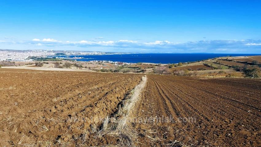 Grundstück Dringend Zu Verkaufen, Geeignet Für 12 Villenprojekte Mit Herrlichem Meer- Und Naturblick.