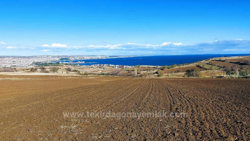 Grundstück Dringend Zu Verkaufen, Geeignet Für 12 Villenprojekte Mit Herrlichem Meer- Und Naturblick.