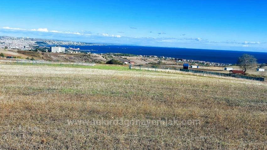 32 Luxusvillen Mit Herrlichem Meer-, Natur- Und Stadtblick, Für Das Projekt Geeignetes Grundstück
