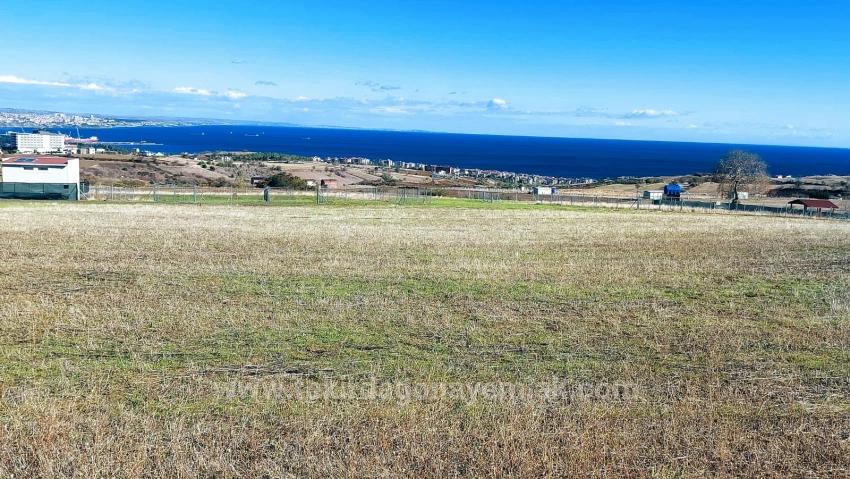 32 Luxusvillen Mit Herrlichem Meer-, Natur- Und Stadtblick, Für Das Projekt Geeignetes Grundstück