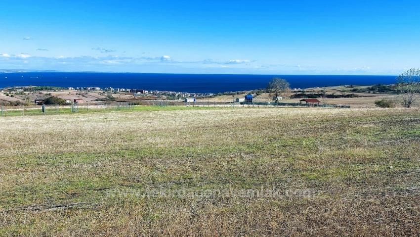 32 Luxusvillen Mit Herrlichem Meer-, Natur- Und Stadtblick, Für Das Projekt Geeignetes Grundstück