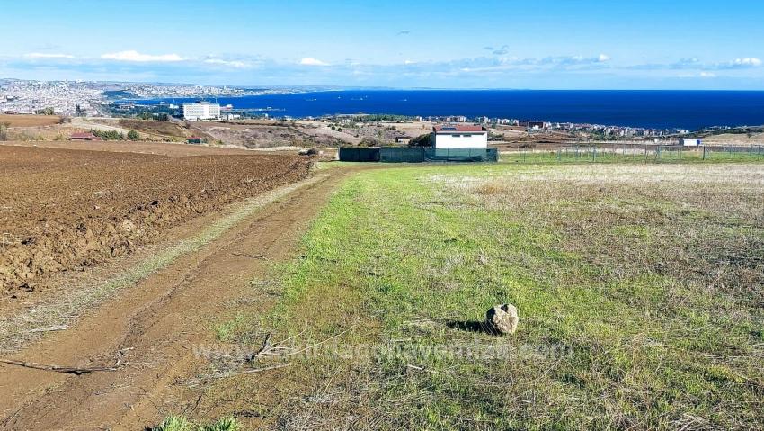 32 Luxusvillen Mit Herrlichem Meer-, Natur- Und Stadtblick, Für Das Projekt Geeignetes Grundstück