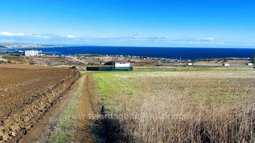 32 Luxusvillen Mit Herrlichem Meer-, Natur- Und Stadtblick, Für Das Projekt Geeignetes Grundstück