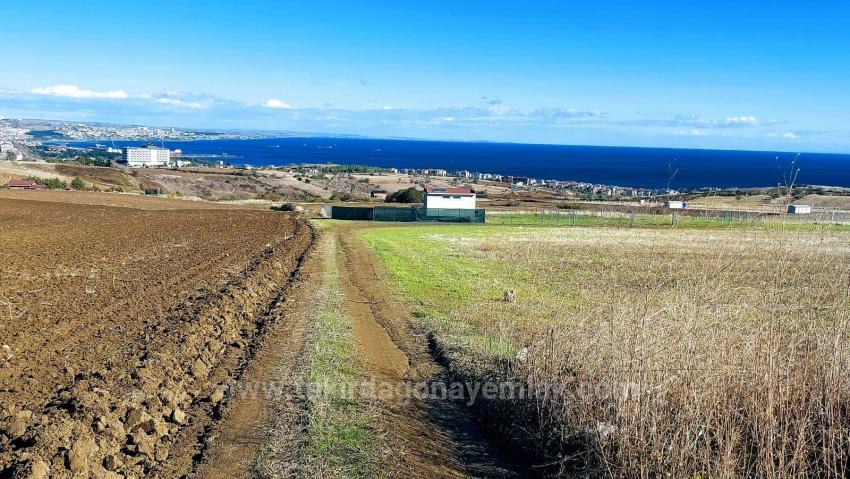 32 Luxusvillen Mit Herrlichem Meer-, Natur- Und Stadtblick, Für Das Projekt Geeignetes Grundstück