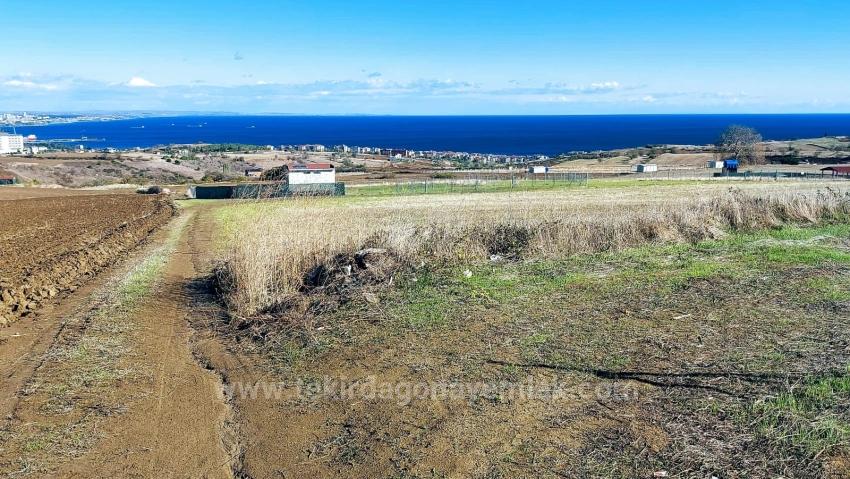 32 Luxusvillen Mit Herrlichem Meer-, Natur- Und Stadtblick, Für Das Projekt Geeignetes Grundstück