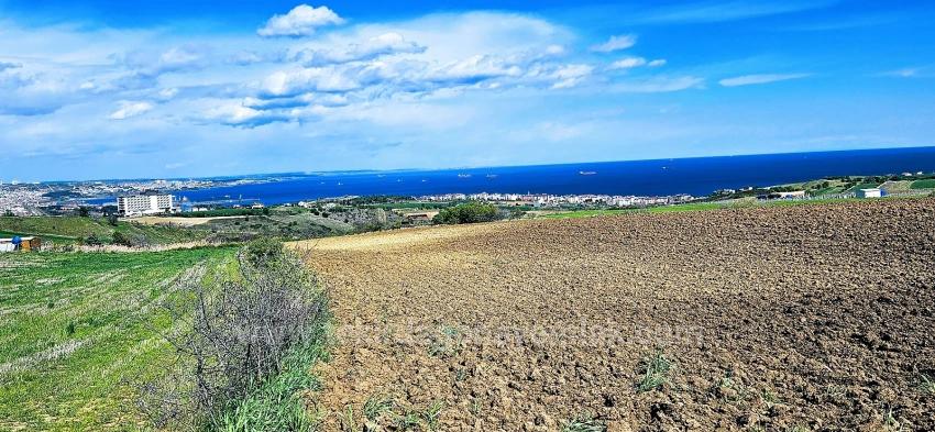 32 Luxusvillen Mit Herrlichem Meer-, Natur- Und Stadtblick, Für Das Projekt Geeignetes Grundstück