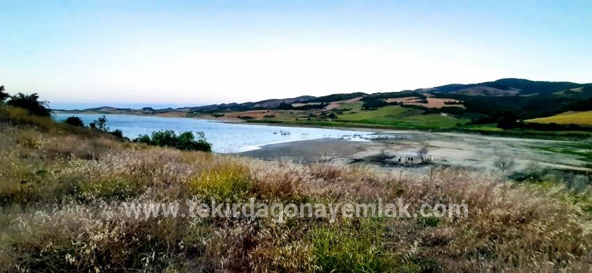 Feld Zu verkaufen in Yeniköy Bz. Süleymanpaşa - Feld-Zonierung - 3.000 m²