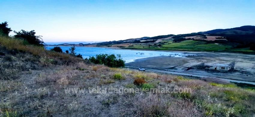 Freistehendes Grundstück Mit Eigentumsurkunde, Direkt Am Damm Gelegen, Dringend Zu Verkaufen