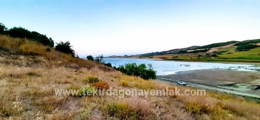 Feld Zu verkaufen in Yeniköy Bz. Süleymanpaşa - Feld-Zonierung - 3.000 m²