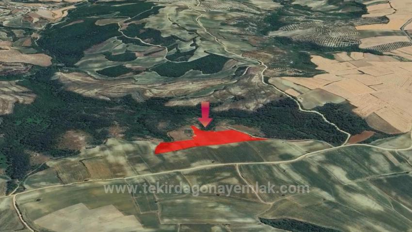 Tauschhandel + Bargeld* Bauen Sie Mit Staatlicher Unterstützung Einen Bauernhof Auf* Produzieren Und Anbauen* Sichern Sie Ihre Zukunft*