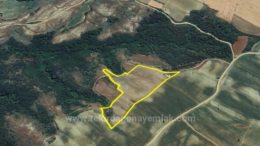 Tauschhandel + Bargeld* Bauen Sie Mit Staatlicher Unterstützung Einen Bauernhof Auf* Produzieren Und Anbauen* Sichern Sie Ihre Zukunft*