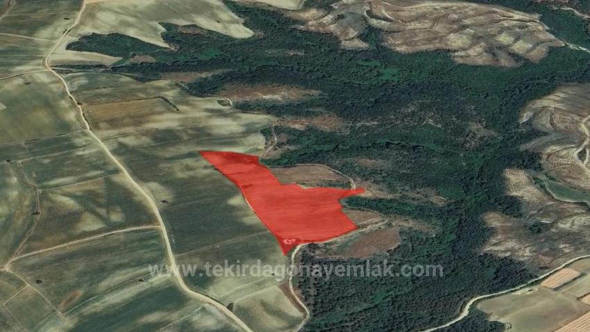 Tauschhandel + Bargeld* Bauen Sie Mit Staatlicher Unterstützung Einen Bauernhof Auf* Produzieren Und Anbauen* Sichern Sie Ihre Zukunft*