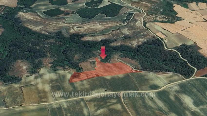 Tauschhandel + Bargeld* Bauen Sie Mit Staatlicher Unterstützung Einen Bauernhof Auf* Produzieren Und Anbauen* Sichern Sie Ihre Zukunft*