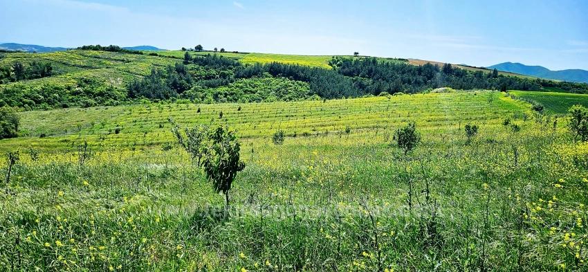 Tauschhandel + Bargeld* Bauen Sie Mit Staatlicher Unterstützung Einen Bauernhof Auf* Produzieren Und Anbauen* Sichern Sie Ihre Zukunft*