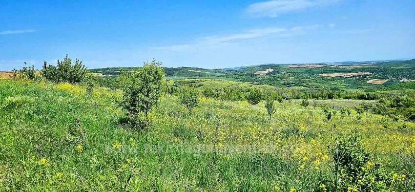 Tauschhandel + Bargeld* Bauen Sie Mit Staatlicher Unterstützung Einen Bauernhof Auf* Produzieren Und Anbauen* Sichern Sie Ihre Zukunft*