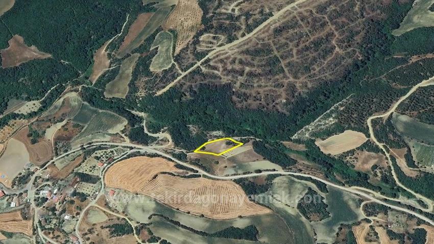 Freistehendes Grundstück, Einzelgrundstück, Nicht Geteilt, In Unmittelbarer Nähe Zur Gemeindegrenze, Dringender Verkauf, Gelegenheit Zum Suchen