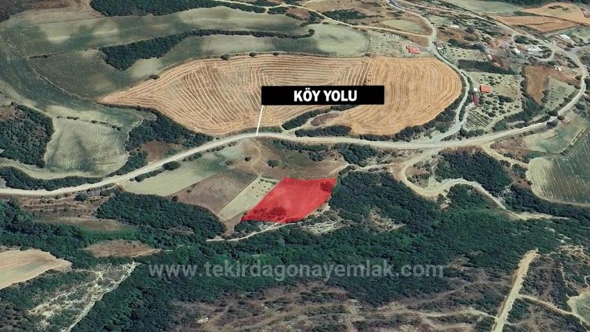 Freistehendes Grundstück, Einzelgrundstück, Nicht Geteilt, In Unmittelbarer Nähe Zur Gemeindegrenze, Dringender Verkauf, Gelegenheit Zum Suchen