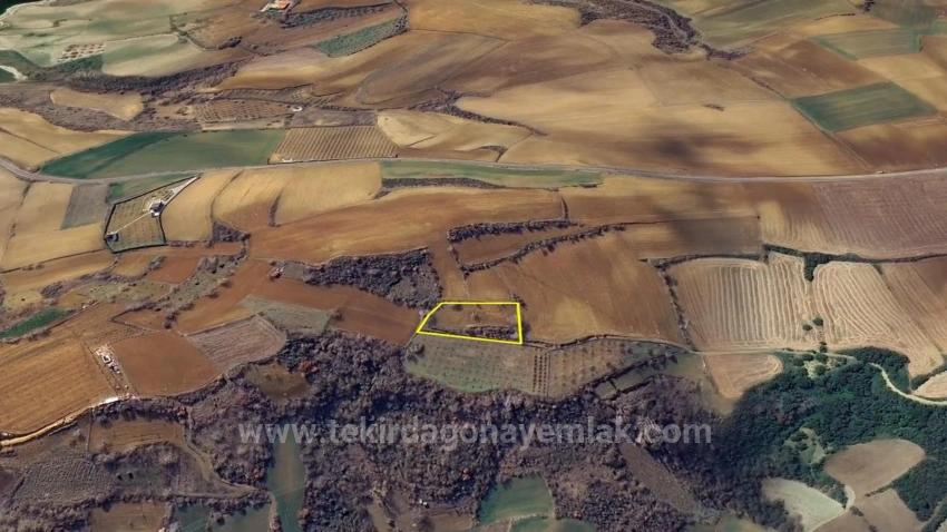 Investitionsmöglichkeit: Garantierter Hoher Gewinn Kurzfristig Für Diejenigen, Die Kaufen Und Verkaufen Möchten.