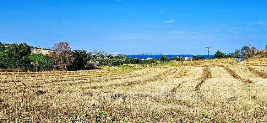 615 M² Großes Eckgrundstück Zum Schnäppchenpreis In Der Nähe Des Flughafens