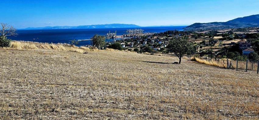 Hohe Gewinngarantie Für Alle, Die Dringend Kaufen Und Verkaufen Müssen – Aufgrund Von Bargeldbedarf.