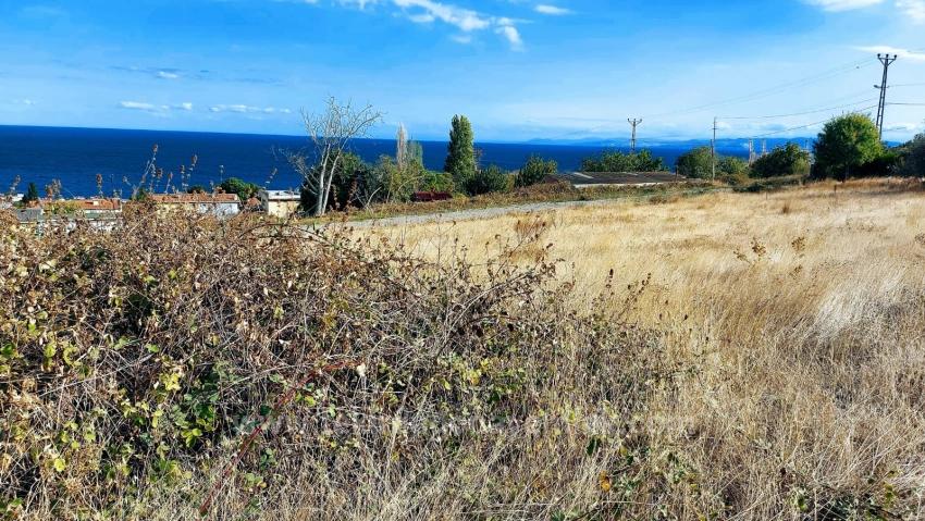 Triplex-Grundstücke Bieten Eine Großartige Gelegenheit Für Alle, Die Mit Geringem Kapital Ein Freistehendes Haus Bauen Möchten.