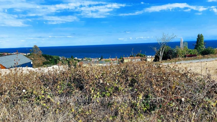 Triplex-Grundstücke Bieten Eine Großartige Gelegenheit Für Alle, Die Mit Geringem Kapital Ein Freistehendes Haus Bauen Möchten.