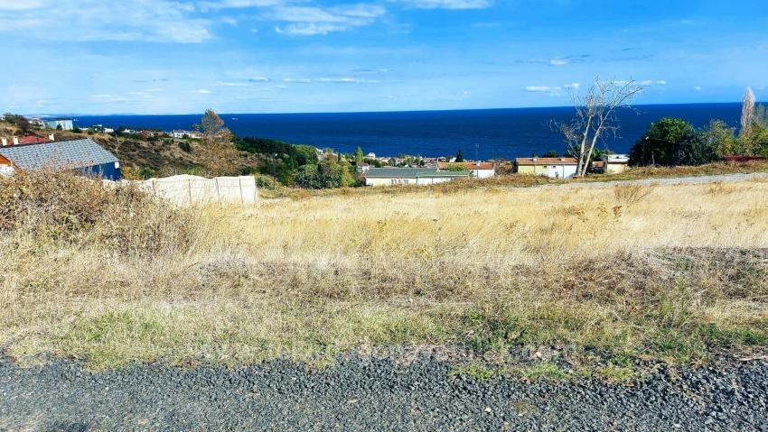 Triplex-Grundstücke Bieten Eine Großartige Gelegenheit Für Alle, Die Mit Geringem Kapital Ein Freistehendes Haus Bauen Möchten.