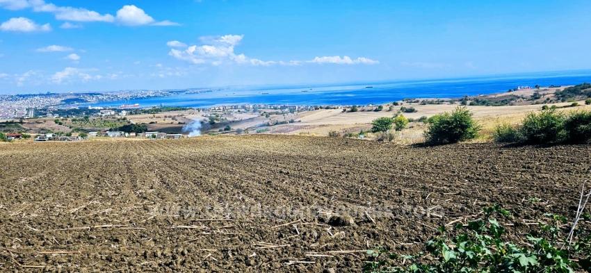 Grundstücksmöglichkeit, Geeignet Für 4 Luxusvillen Mit Uneingeschränktem Meerblick
