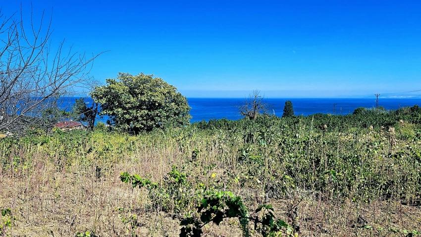 Tekirdağ Barbarosta 4 Seiten Straßenfassade Infrastruktur Bereit Genossenschaft Und Ort Geeignet Für Den Bau Von Baustellen